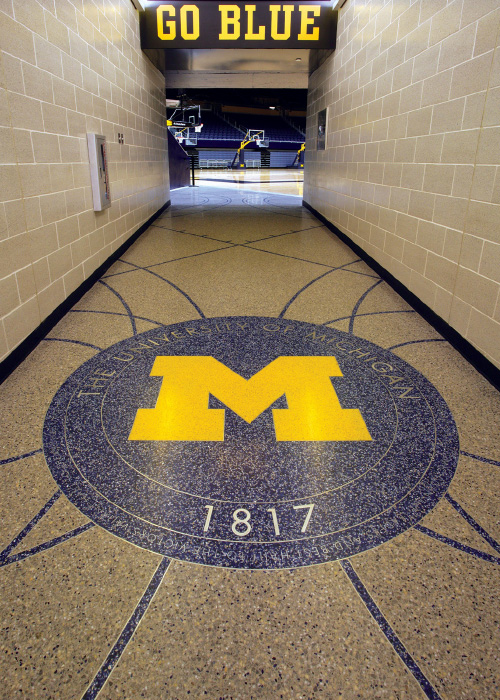 ind-arenas-image10